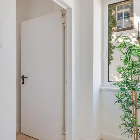 Upgrade Paradise Centre *