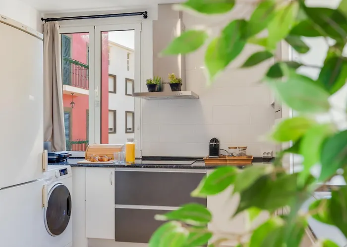 Bright 2br In Centre, Walk Everywhere Funchal (Madeira)